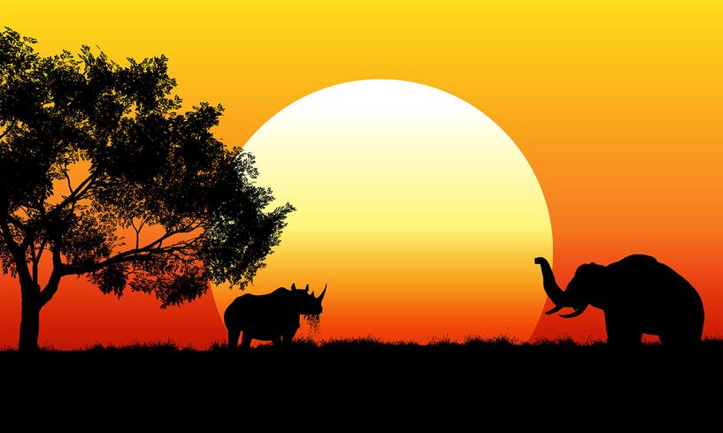 African safari scene at sunset vector