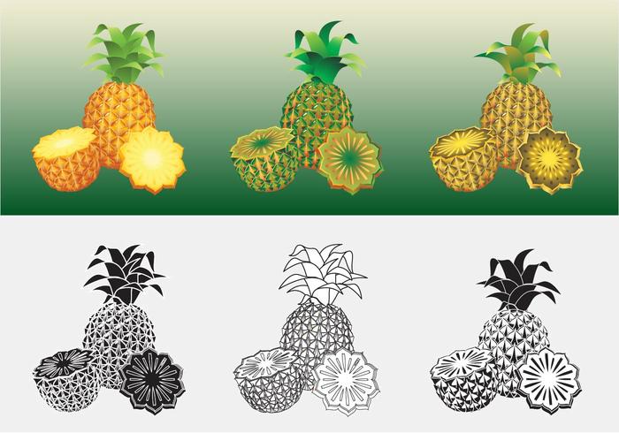 Ananas Vector