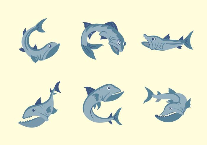Barracuda fish vector illustration