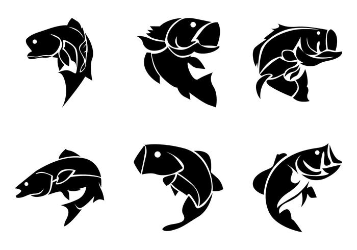 Bass Fish Silhoutte Vector