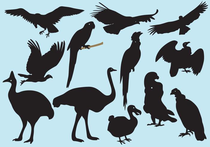 Big Bird Silhouettes vector