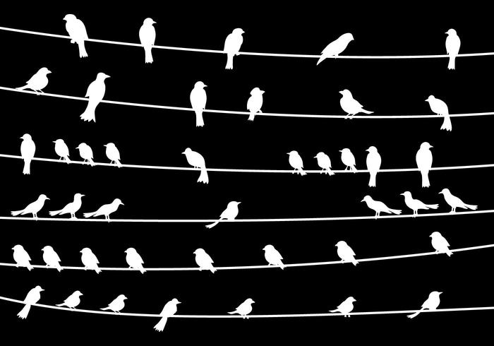 Bird On Wire Vector