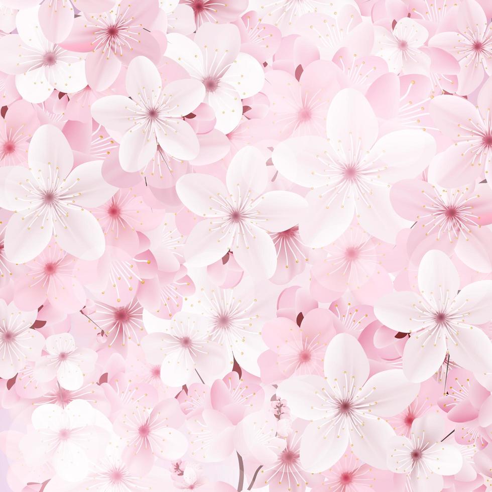 Blossoming pink sakura flowers background. vector