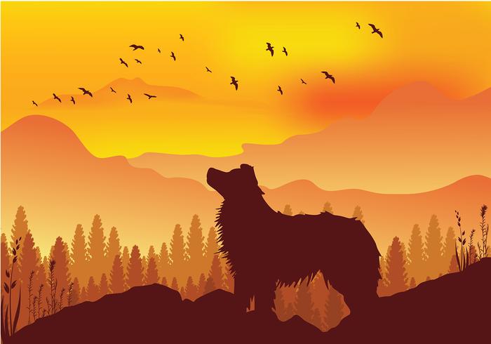 Border Collie Silhouette Free Vector