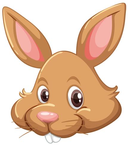 Bunny face on white background vector