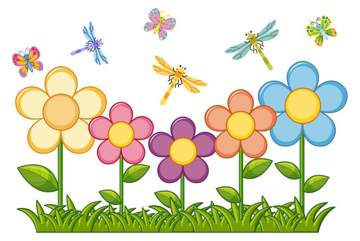 Butterflies and dragonflies in flower garden vector