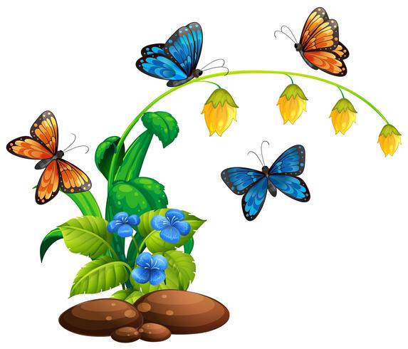 Butterflies flying around the plant vector