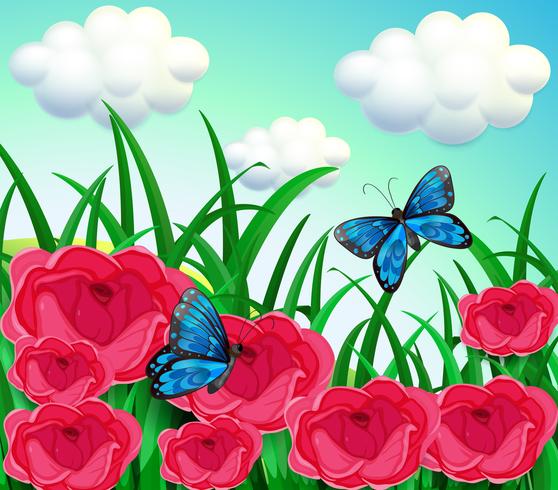 Butterflies in the meadow vector