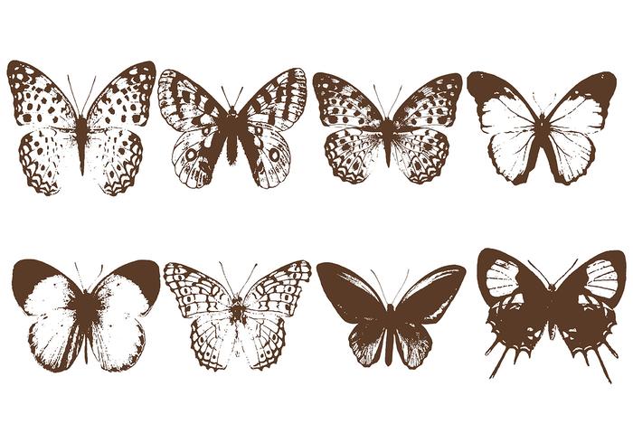 Butterfly Lithograph Vector