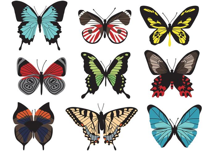 Butterfly Vectors