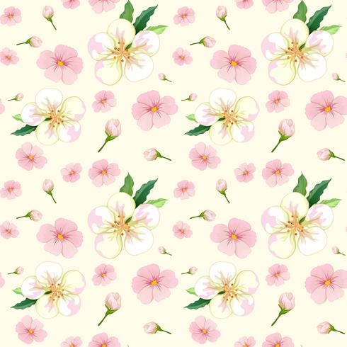 Cherry blossom seamless pattern vector