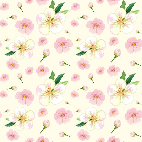 Cherry blossom seamless pattern vector