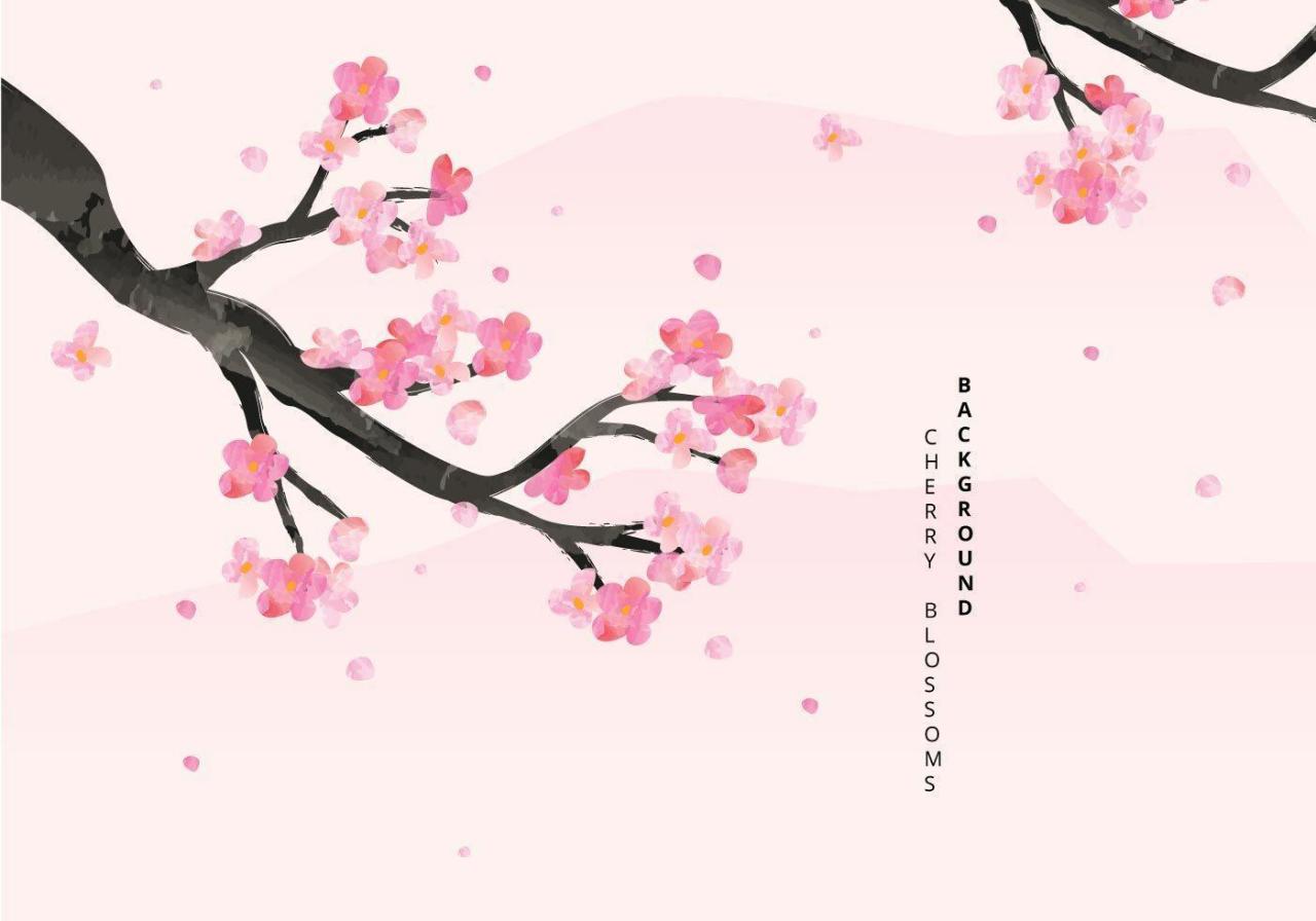 Cherry Blossoms Background Illustration vector