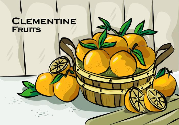 Clementine On Basket Vector Illustration
