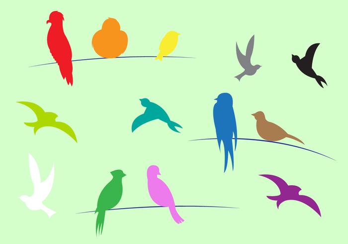 Colorful Birds in Vector