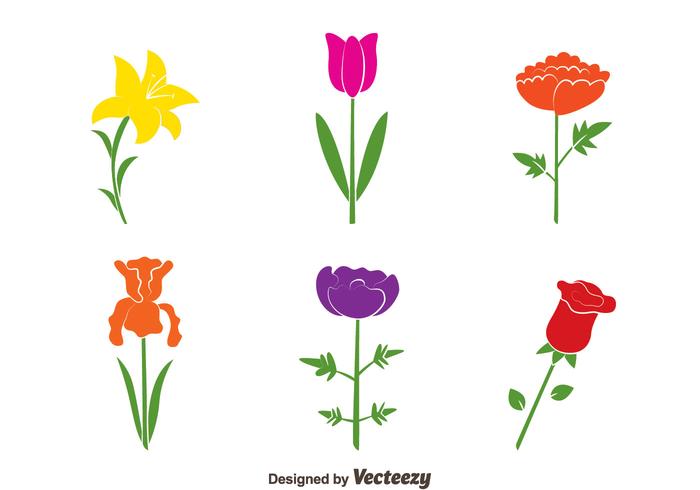 Colorful Flowers Collection Vectors