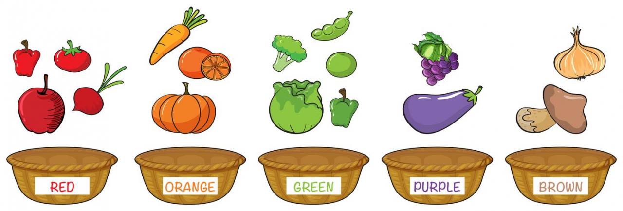 Different colors of fruits and vegetables vector