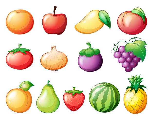 Different kinds of fruits vector