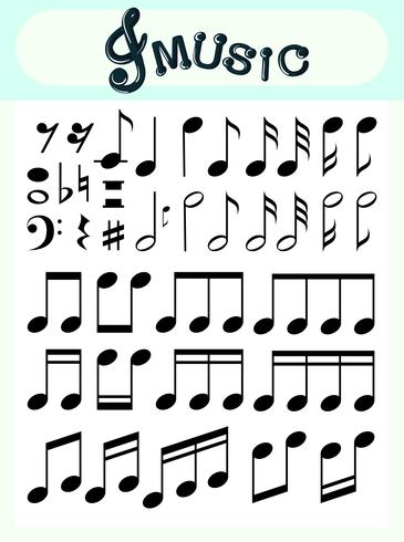 Different music notes on poster vector