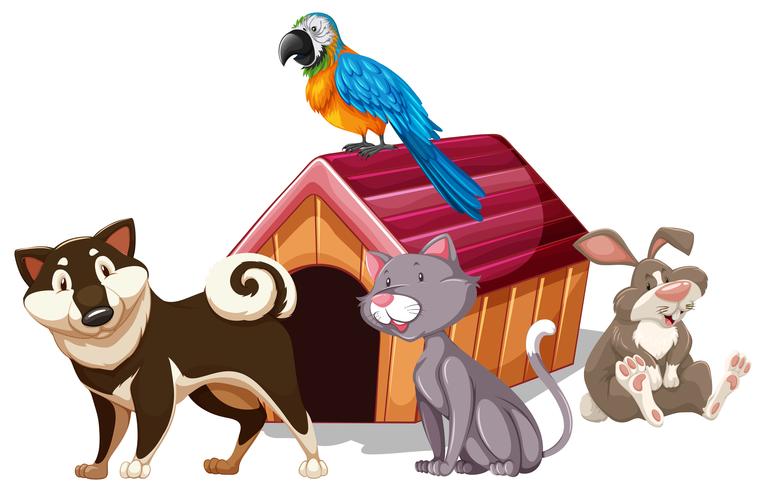 Different types of pet around the house vector