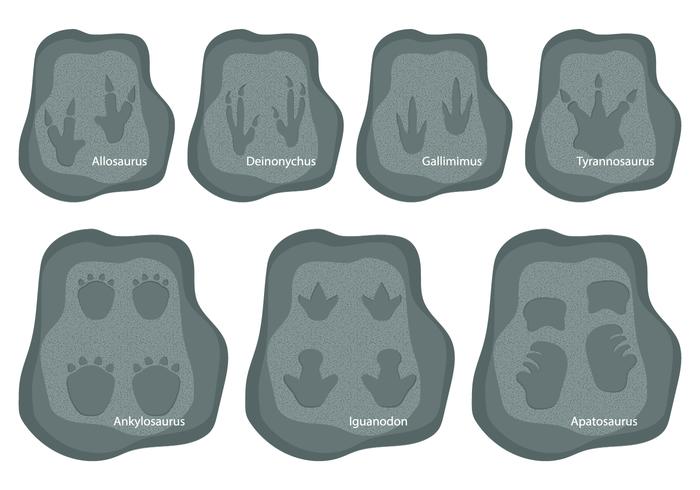 Dinosaurs Footprints vector