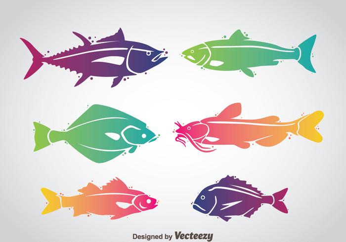 Fish Colorful Vector