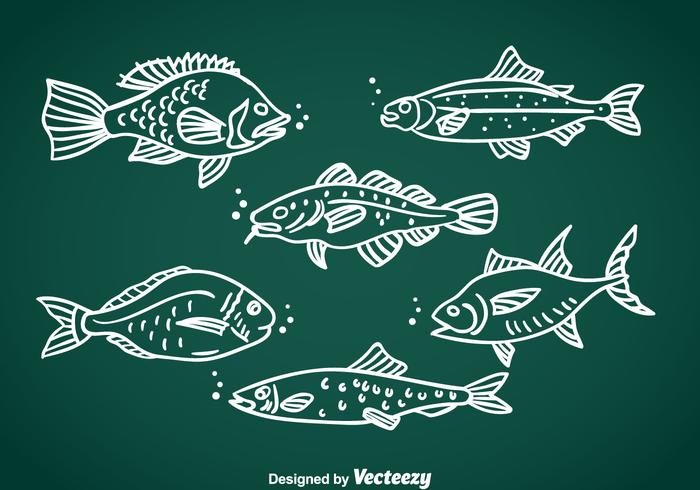 Fish Hand Drawn Vector