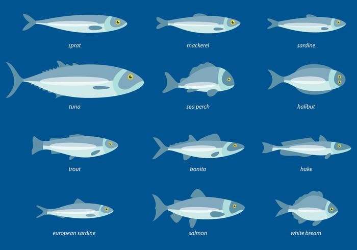 Fish Icons Set vector