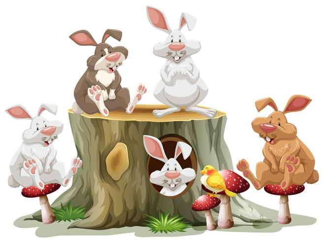 Five rabbits sitting on log vector