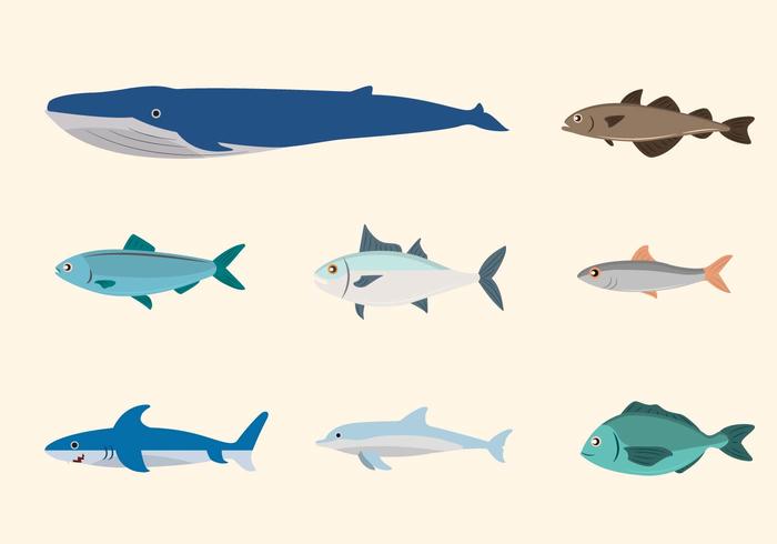 Flat Fish Vectors
