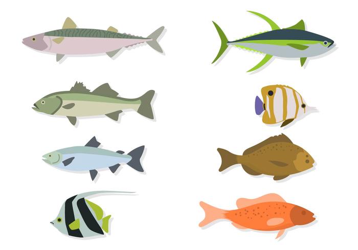 Flat Sea Animal Vectors