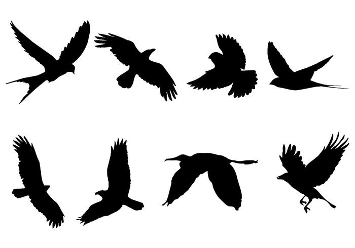 Flying Bird Silhouette Vector