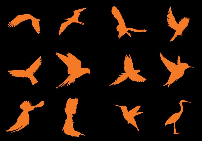 Flying Bird Silhouette Vectors