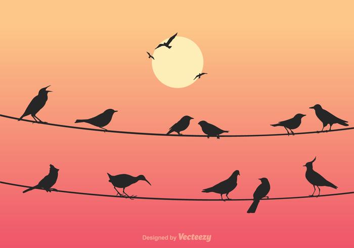 Free Birds On Wires Vector Illustration