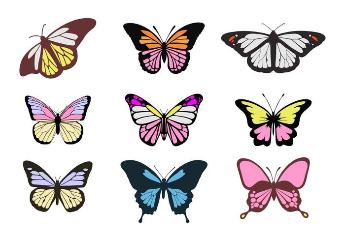 Free Colorful Butterflies Vectors