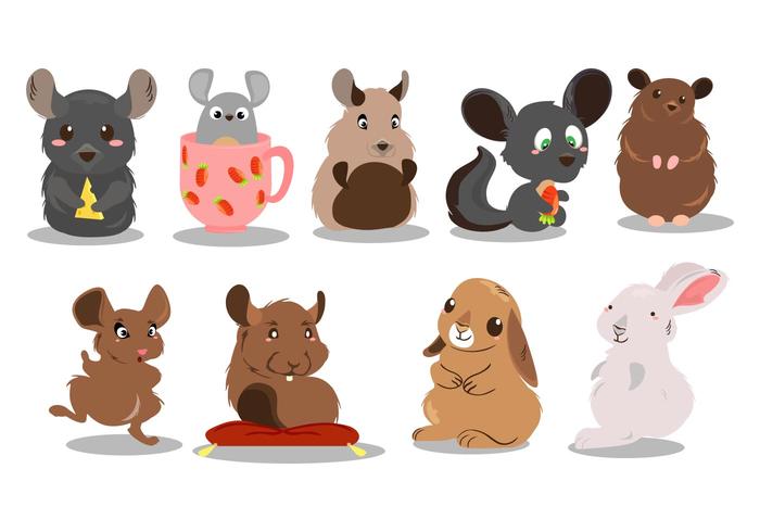 Free Cute Chinchilla Vector