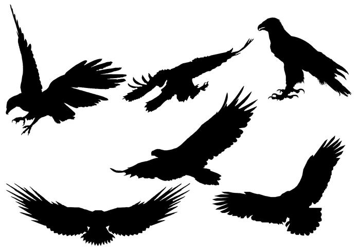 Free Eagle Silhouette Vector