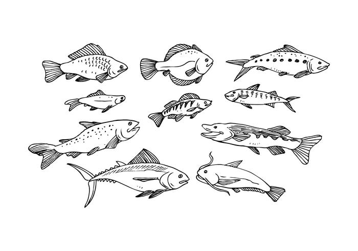 Free Fish Hand Drawn Icon Vector