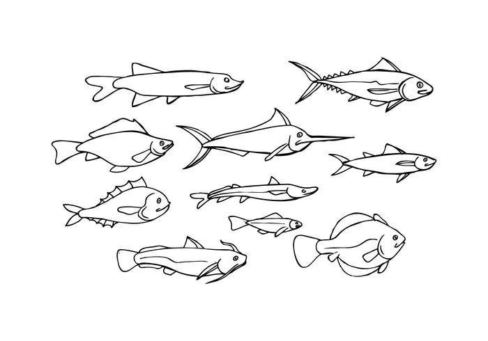 Free Fish Sketch Icon Vector 