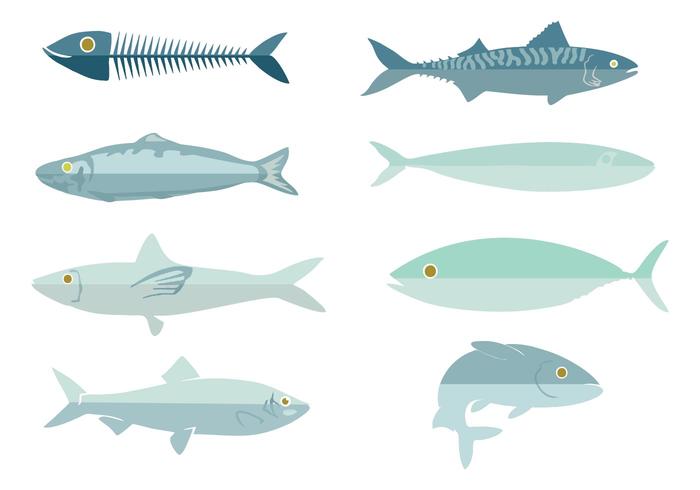 Free Fresh Fish Sardine Vector