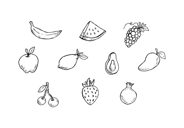 Free Fruits Sketch Icon Vector