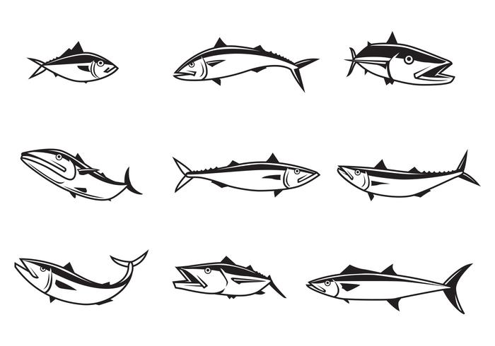 Free Mackerel Vectors