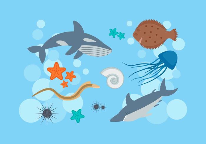 Free Outstanding Ocean Fish Vectors