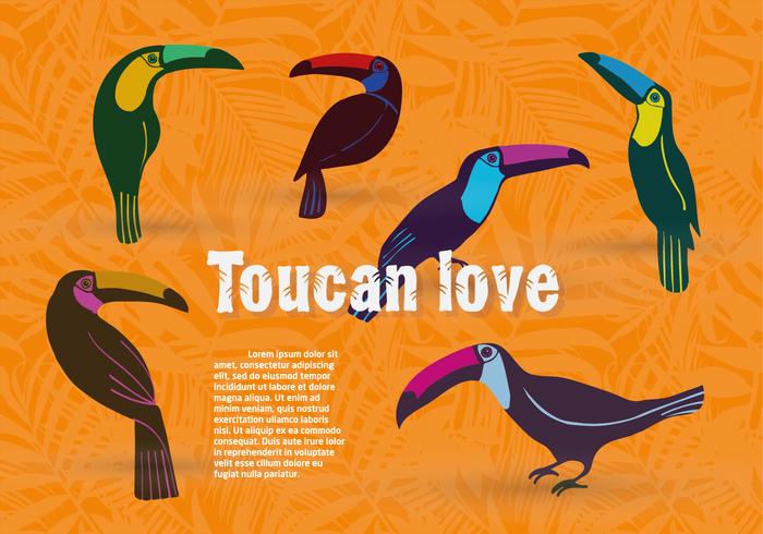 Free Set of Toucan Birds Vector Background