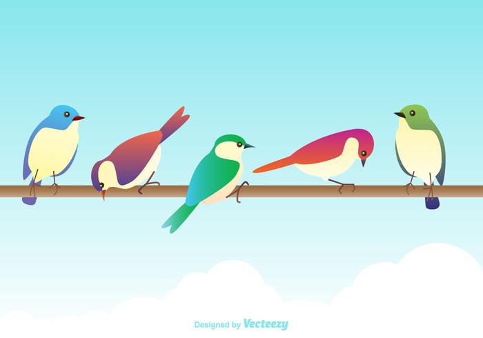 Free Vector Colorful Birds