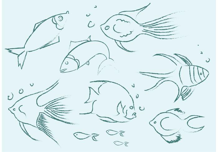 Free Vector Fish Sketches 