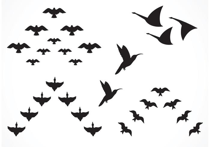 Free Vector Flock Of Birds