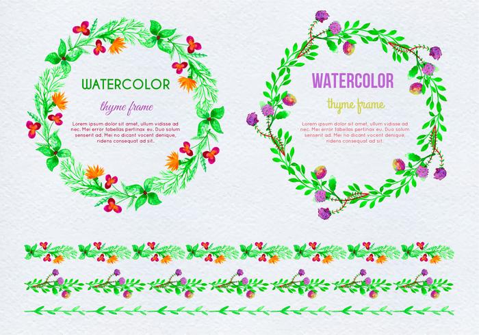 Free Vector Hand Drawn Watercolor Thyme Frames 