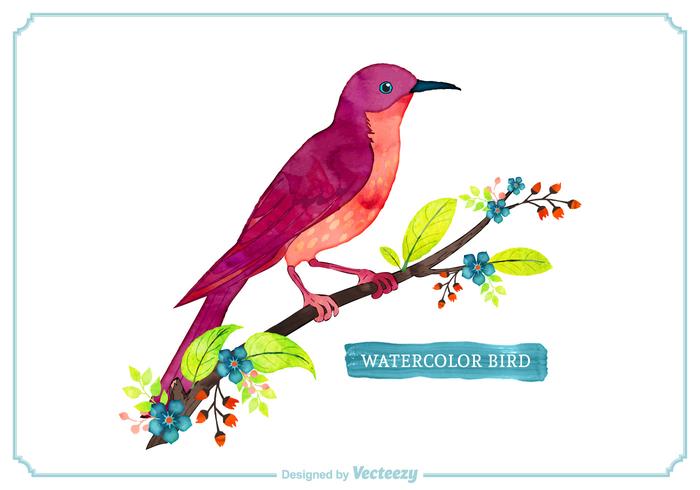 Free Vector Watercolor Bird