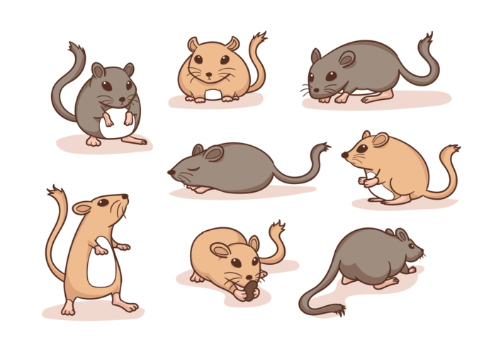 Gerbil Cartoon Vector